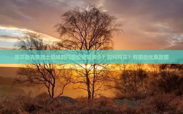 库尔勒去恩施土司城的门票价格是多少？如何购买？有哪些优惠政部
