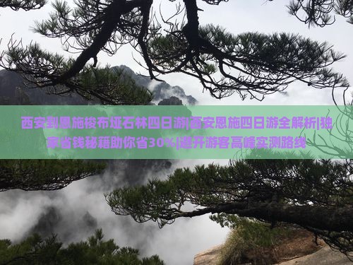 西安到恩施梭布垭石林四日游