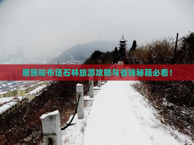 十月到恩施梭布垭石林大型旅游团