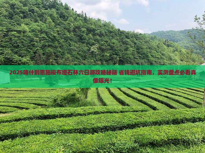 喀什到恩施梭布垭石林六日游