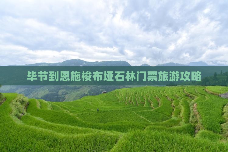毕节到恩施梭布垭石林门票