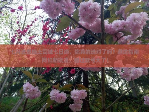 七月去恩施土司城七日游