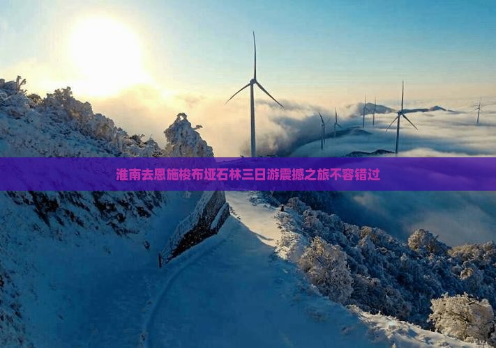 淮南去恩施梭布垭石林三日游