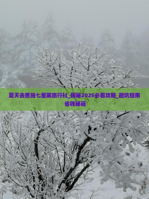 夏天去恩施七星寨旅行社
