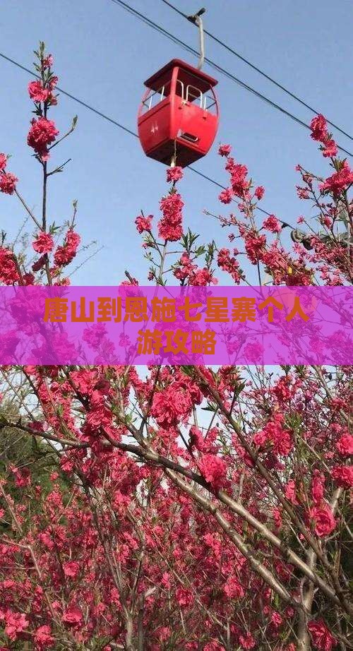 唐山到恩施七星寨个人游 唐山到恩施七星寨个人游
