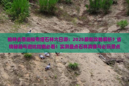 榆林去恩施梭布垭石林六日游