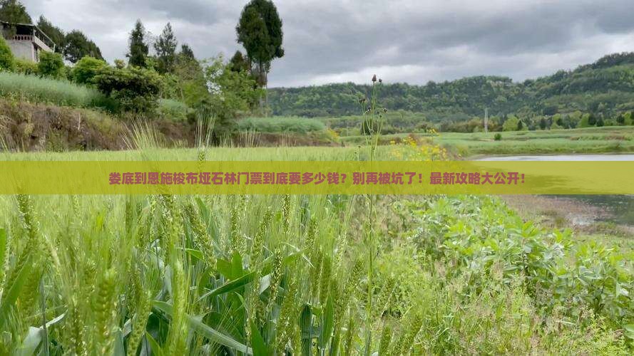 娄底到恩施梭布垭石林门票