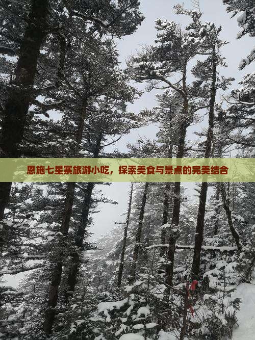 固原去恩施七星寨旅游小吃