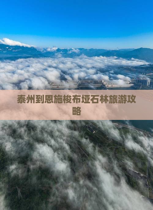 泰州到恩施梭布垭石林自由行