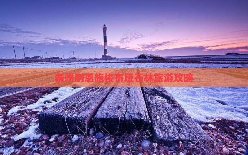 泰州到恩施梭布垭石林自由行