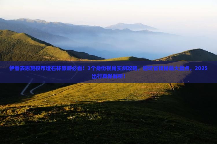 伊春去恩施梭布垭石林旅游
