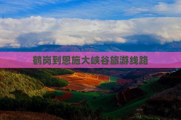 鹤岗到恩施大峡谷旅行社