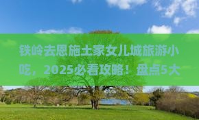 铁岭去恩施土家女儿城旅游小吃