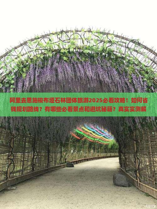 阿里去恩施梭布垭石林团体旅游