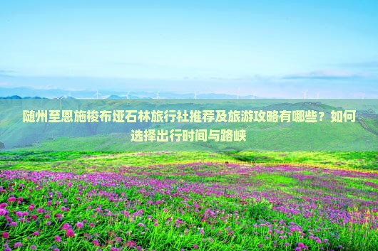 随州至恩施梭布垭石林旅行社推荐及旅游攻略有哪些？如何选择出行时间与路峡