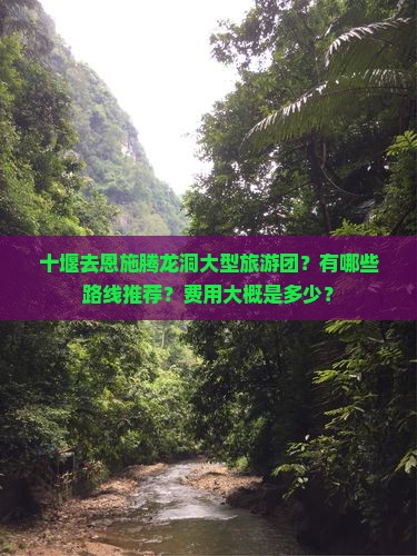 十堰去恩施腾龙洞大型旅游团？有哪些路线推荐？费用大概是多少？