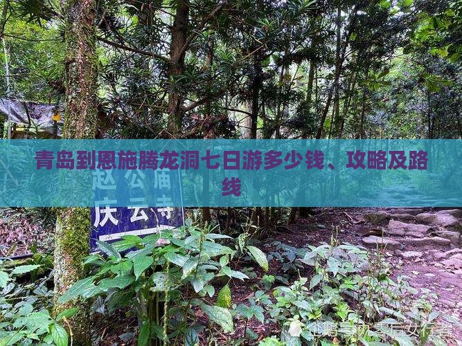 青岛到恩施腾龙洞七日游多少钱、攻略及路线