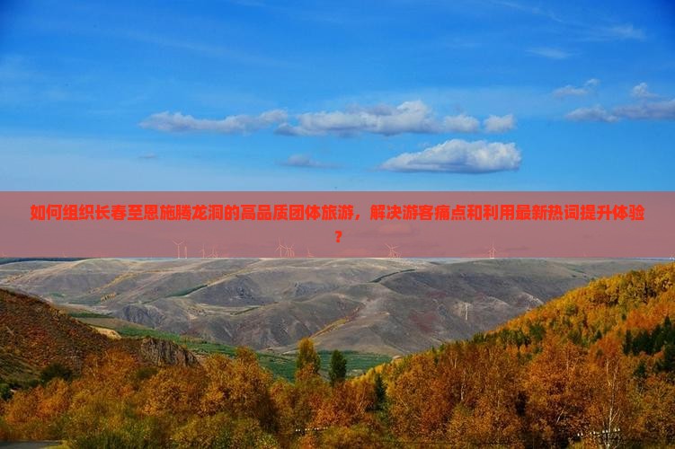 如何组织长春至恩施腾龙洞的高品质团体旅游，解决游客痛点和利用最新热词提升体验？