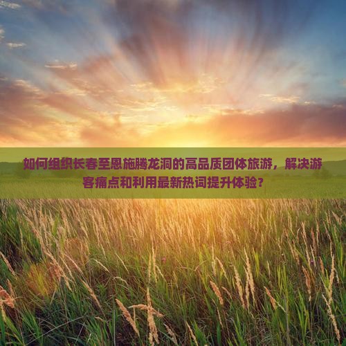 如何组织长春至恩施腾龙洞的高品质团体旅游，解决游客痛点和利用最新热词提升体验？