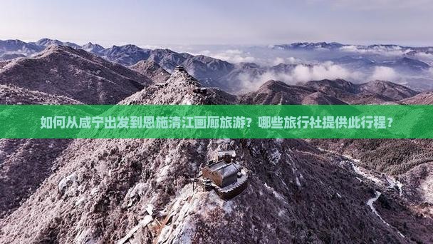 如何从咸宁出发到恩施清江画廊旅游？哪些旅行社提供此行程？