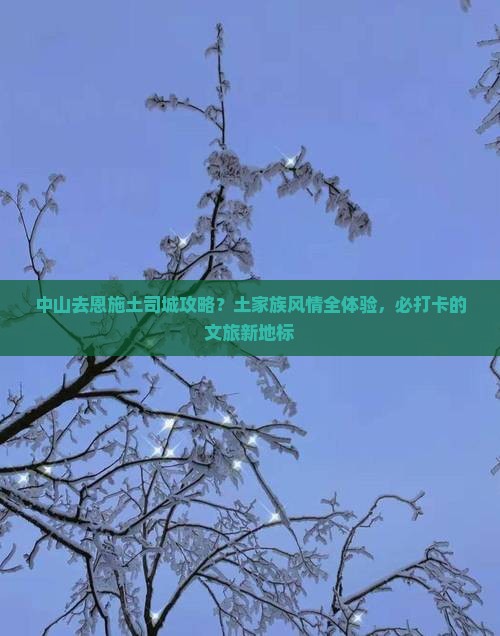 中山去恩施土司城攻略？土家族风情全体验，必打卡的文旅新地标
