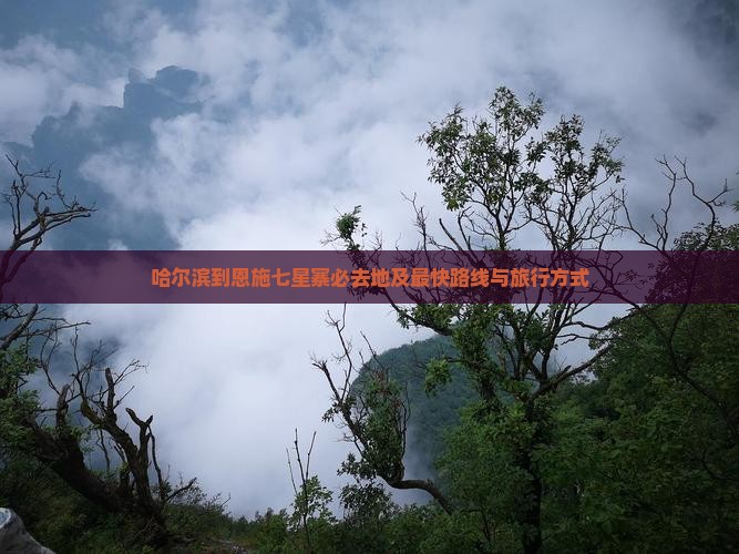 哈尔滨到恩施七星寨必去地及最快路线与旅行方式