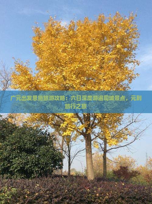 广元出发恩施旅游攻略：六日深度游遍司城景点，元到旅行之旅