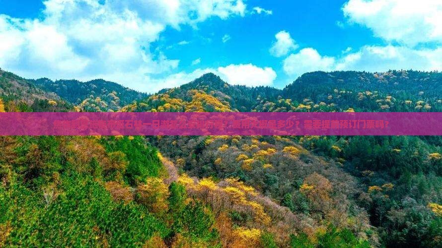 焦作到恩施梭布垭石林一日游怎么安排行程？费用大概是多少？需要提前预订门票吗？