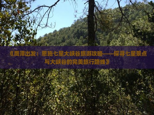 《鹰潭出发：恩施七星大峡谷旅游攻略——探寻七星景点与大峡谷的完美旅行路线》