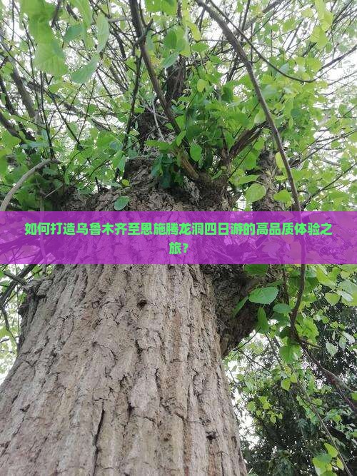 如何打造乌鲁木齐至恩施腾龙洞四日游的高品质体验之旅？