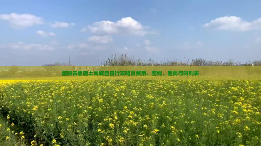 醴陵去恩施土司城自由行攻略及费用、路线、距离与时刻表