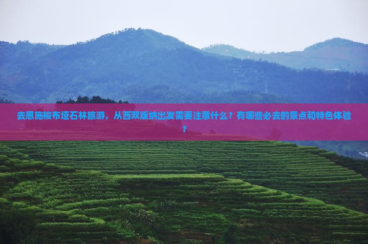 去恩施梭布垭石林旅游，从西双版纳出发需要注意什么？有哪些必去的景点和特色体验？