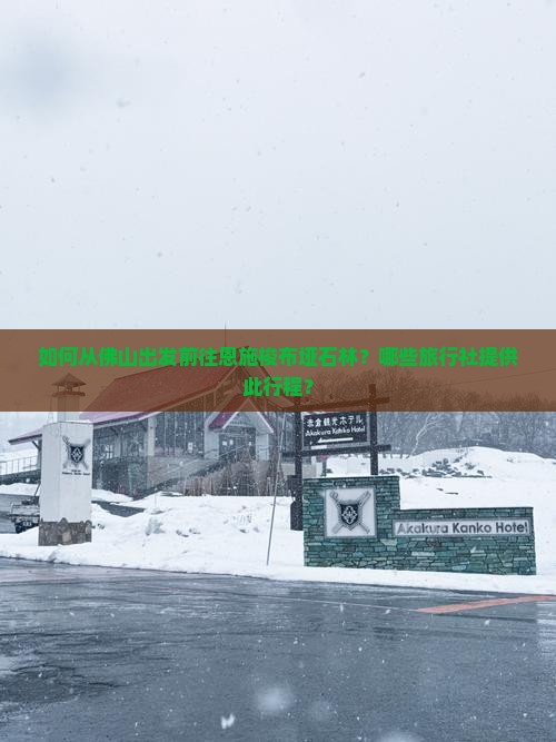 如何从佛山出发前往恩施梭布垭石林？哪些旅行社提供此行程？