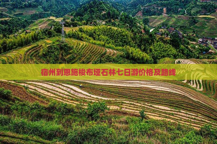 宿州到恩施梭布垭石林七日游价格及路线
