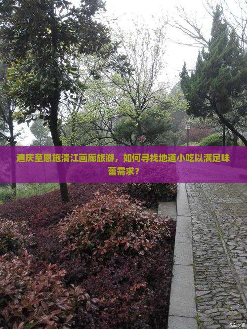 迪庆至恩施清江画廊旅游，如何寻找地道小吃以满足味蕾需求？