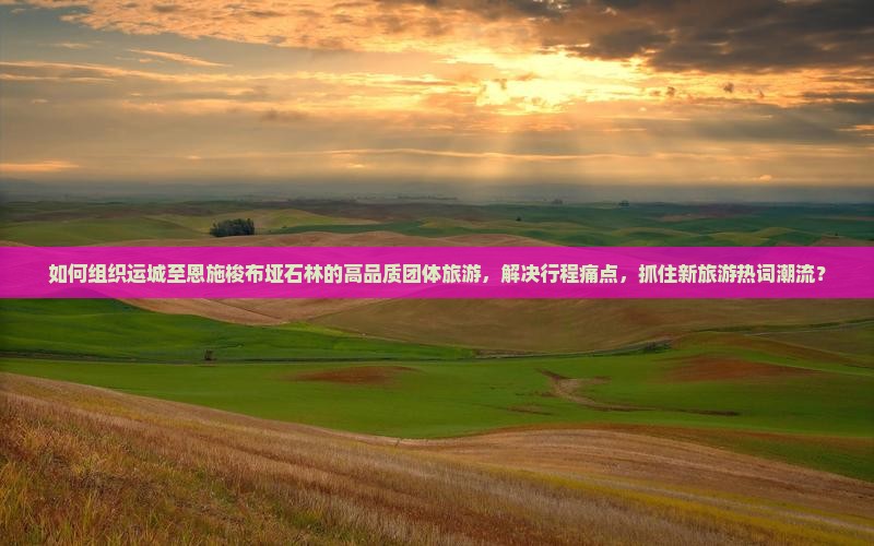 如何组织运城至恩施梭布垭石林的高品质团体旅游，解决行程痛点，抓住新旅游热词潮流？