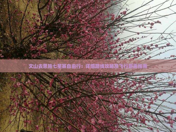 文山去恩施七星寨自由行：详细路线攻略及飞行距离指南