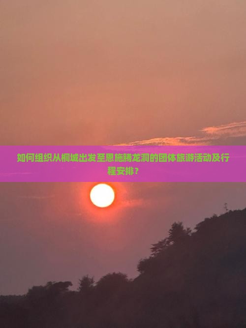 如何组织从桐城出发至恩施腾龙洞的团体旅游活动及行程安排？