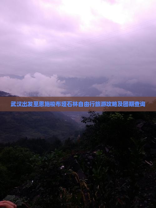 武汉出发至恩施梭布垭石林自由行旅游攻略及团期查询