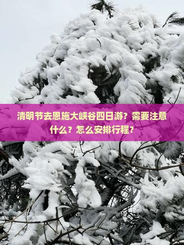 清明节去恩施大峡谷四日游？需要注意什么？怎么安排行程？