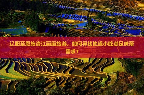 辽阳至恩施清江画廊旅游，如何寻找地道小吃满足味蕾需求？