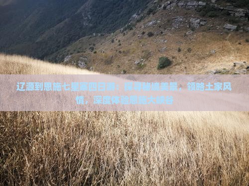 辽源到恩施七星寨四日游：探寻秘境美景，领略土家风情，深度体验恩施大峡谷