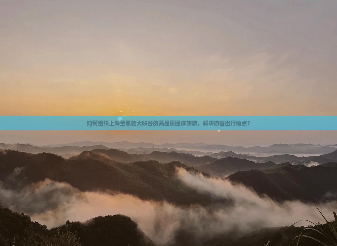 如何组织上海至恩施大峡谷的高品质团体旅游，解决游客出行痛点？