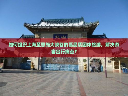 如何组织上海至恩施大峡谷的高品质团体旅游，解决游客出行痛点？