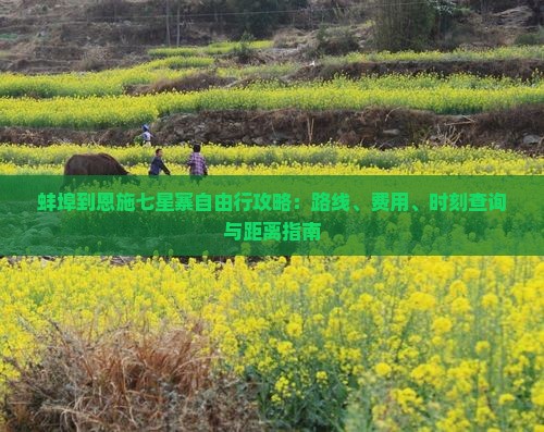 蚌埠到恩施七星寨自由行攻略：路线、费用、时刻查询与距离指南