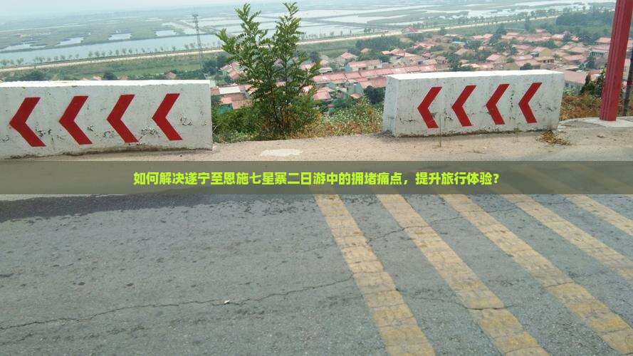 如何解决遂宁至恩施七星寨二日游中的拥堵痛点，提升旅行体验？