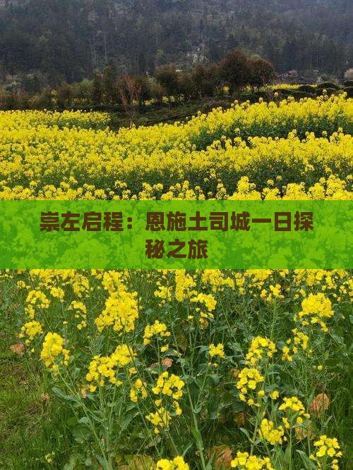 崇左启程：恩施土司城一日探秘之旅