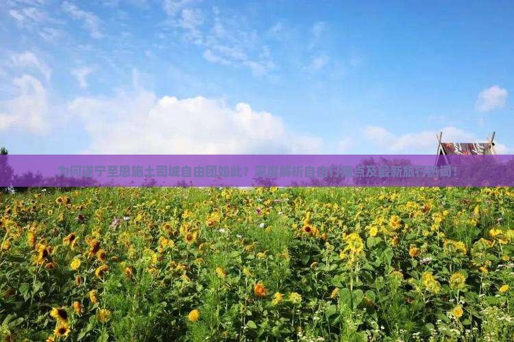 为何遂宁至恩施土司城自由团如此？深度解析自由行痛点及最新旅行热词！