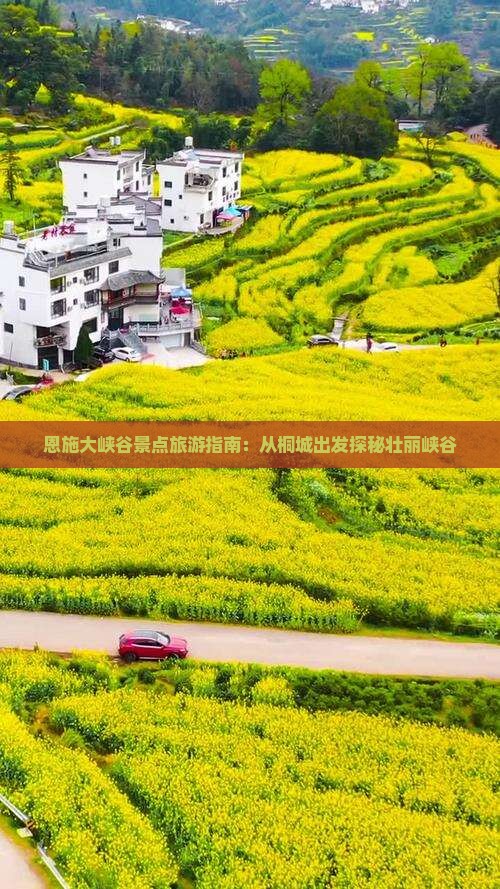 恩施大峡谷景点旅游指南：从桐城出发探秘壮丽峡谷