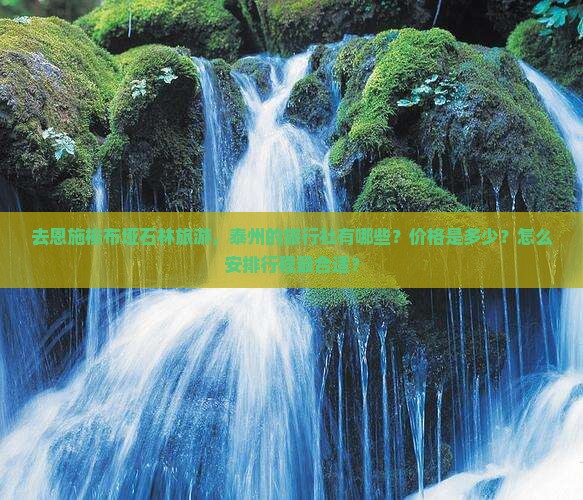 去恩施梭布垭石林旅游，泰州的旅行社有哪些？价格是多少？怎么安排行程最合适？